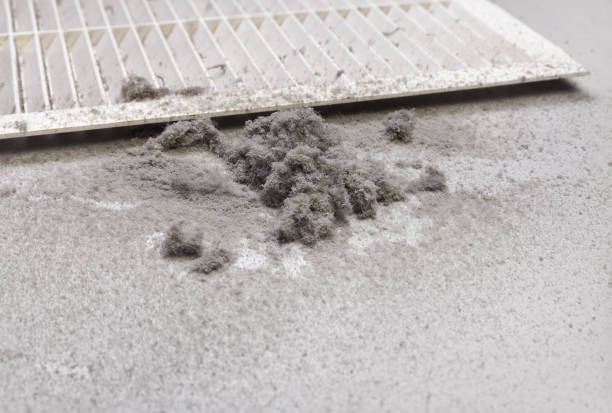 Best Air Duct Cleaning Near Me  in Arnold, PA