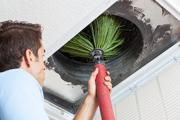 Best Air Duct Cleaning Near Me  in Arnold, PA